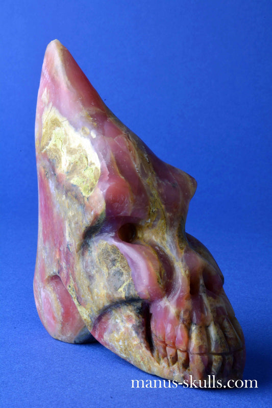 Pink Peruvian Conehead Skull