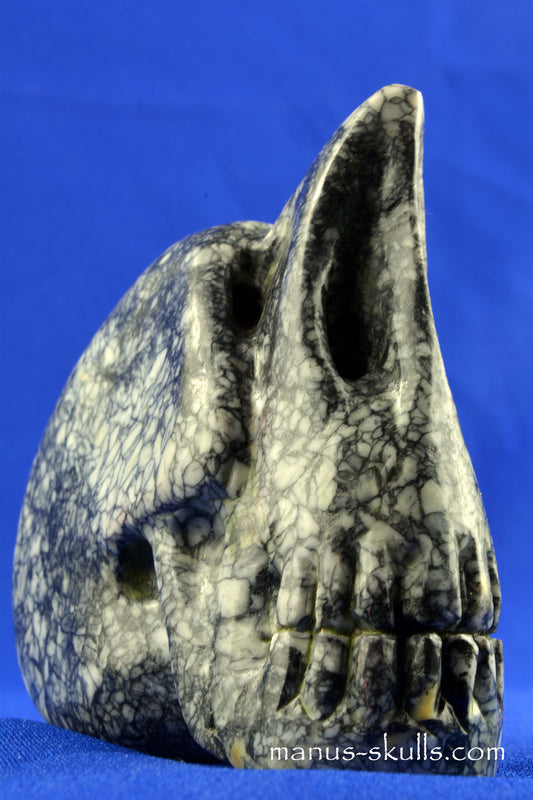 Pinolith Skull