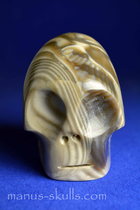 Polish Flint Skull