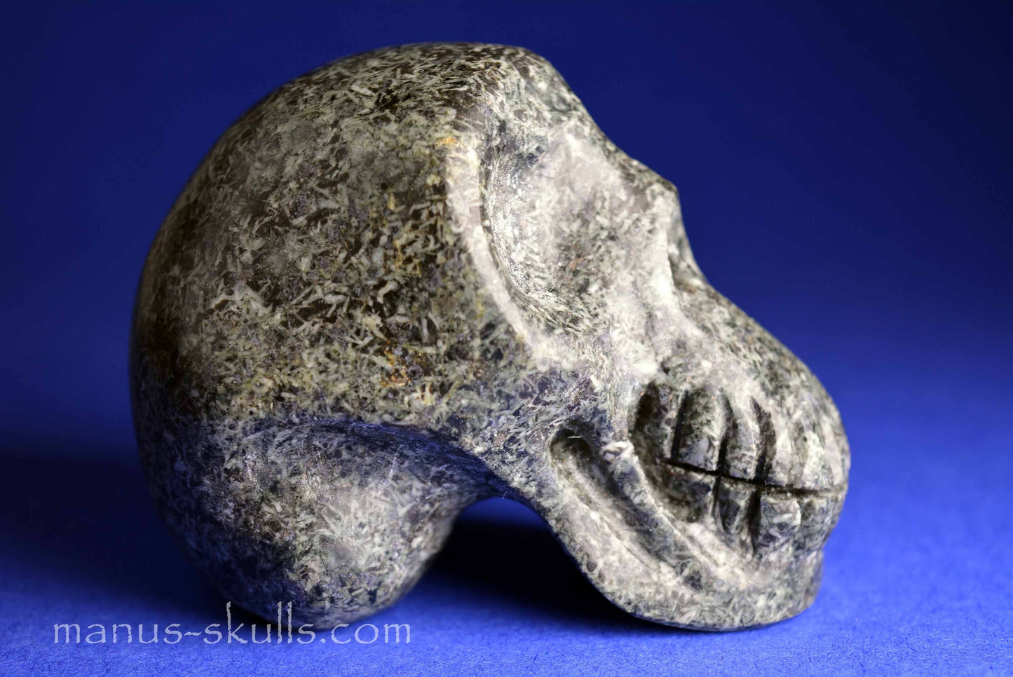 Unspotted Preseli Bluestone Skull