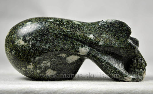 Preseli Bluestone Skull