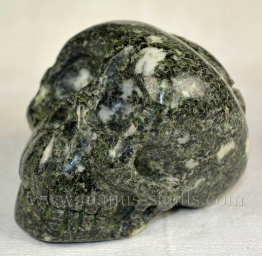 Preseli Bluestone Skull