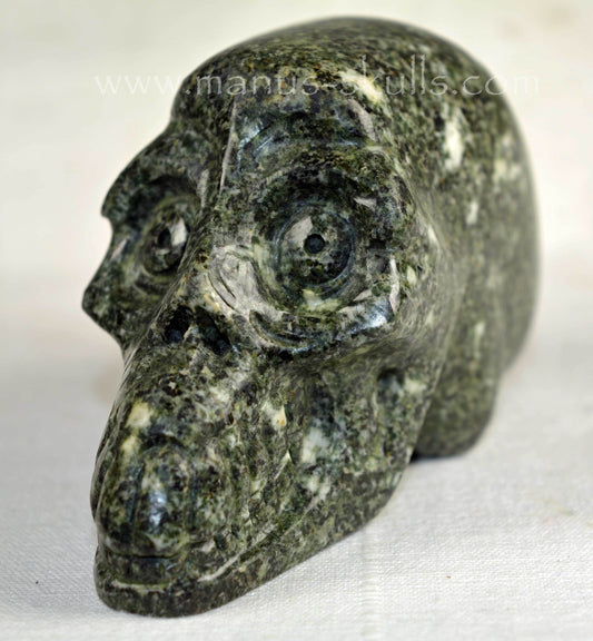 Preseli Bluestone Skull