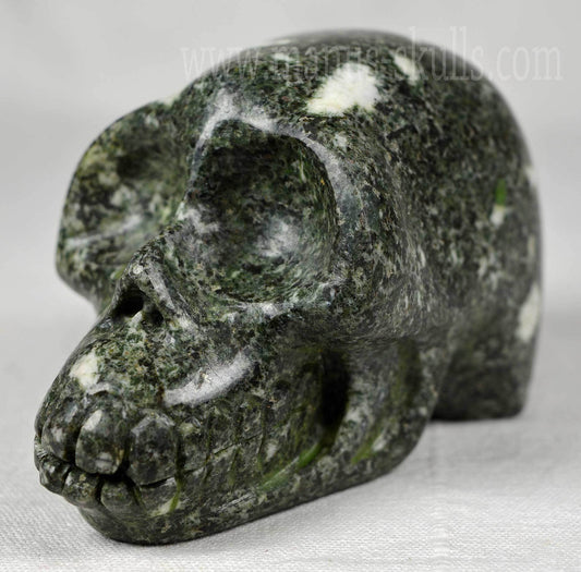 Preseli Bluestone Skull