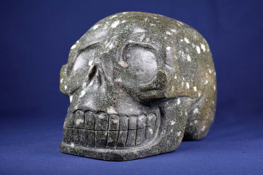 Preseli Bluestone Skull