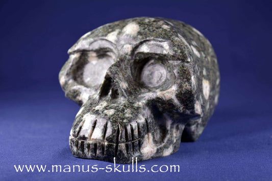 Preseli Bluestone Skull