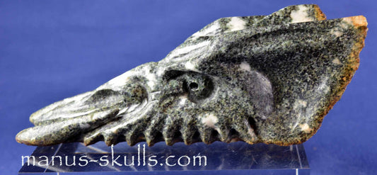 Preseli Bluestone Dragon