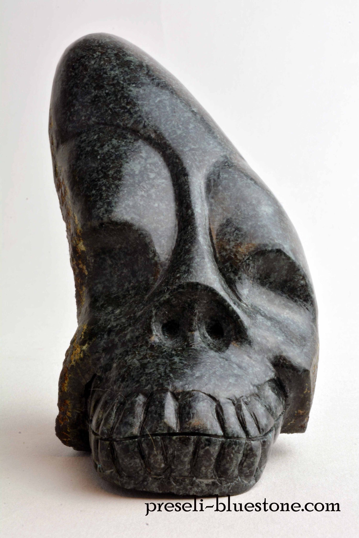 Unspotted Preseli Bluestone Skull