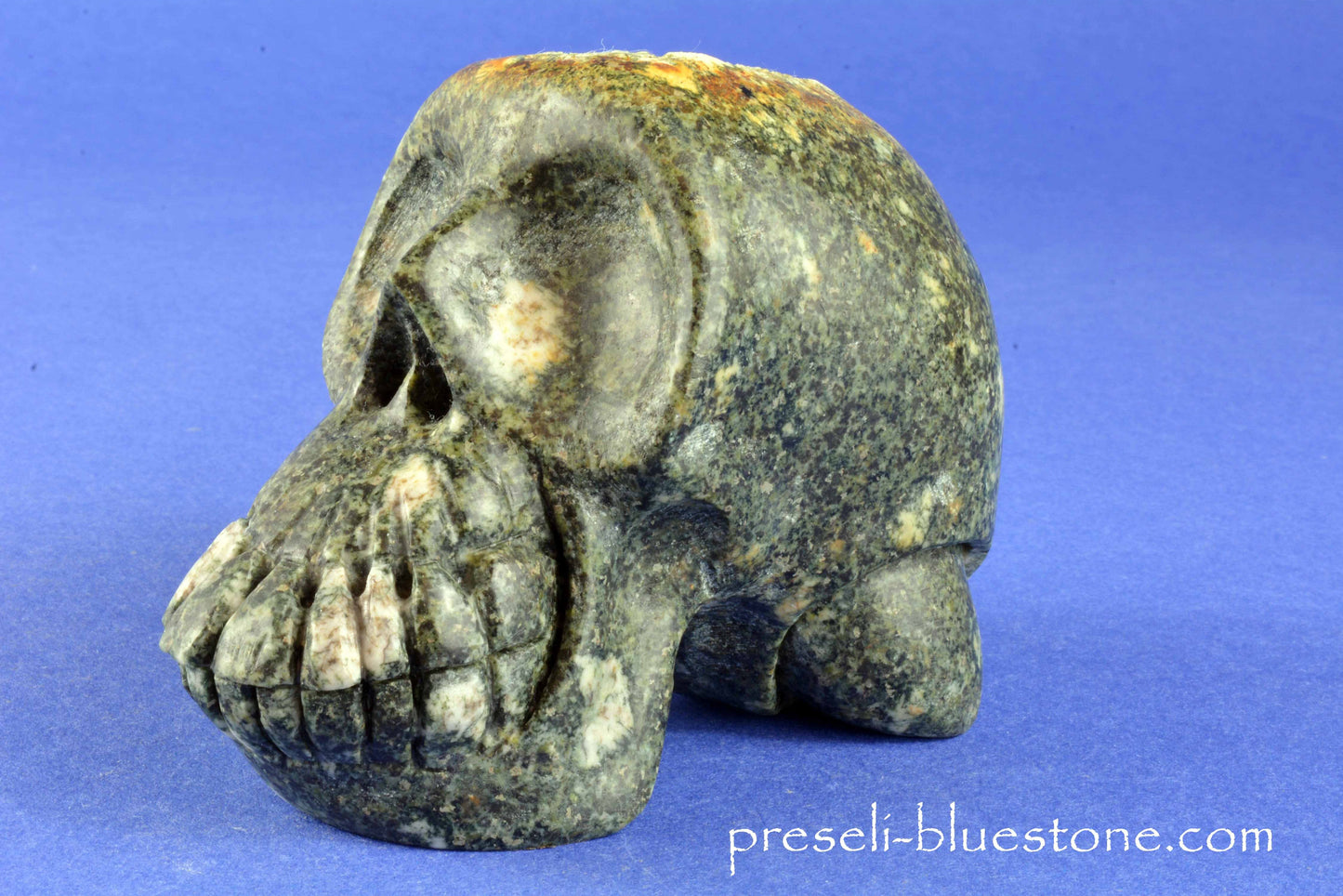 Preseli Bluestone Skull