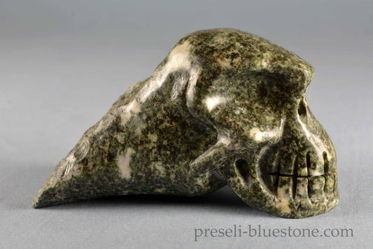 Preseli Bluestone Skull