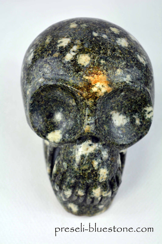 Preseli Bluestone Skull