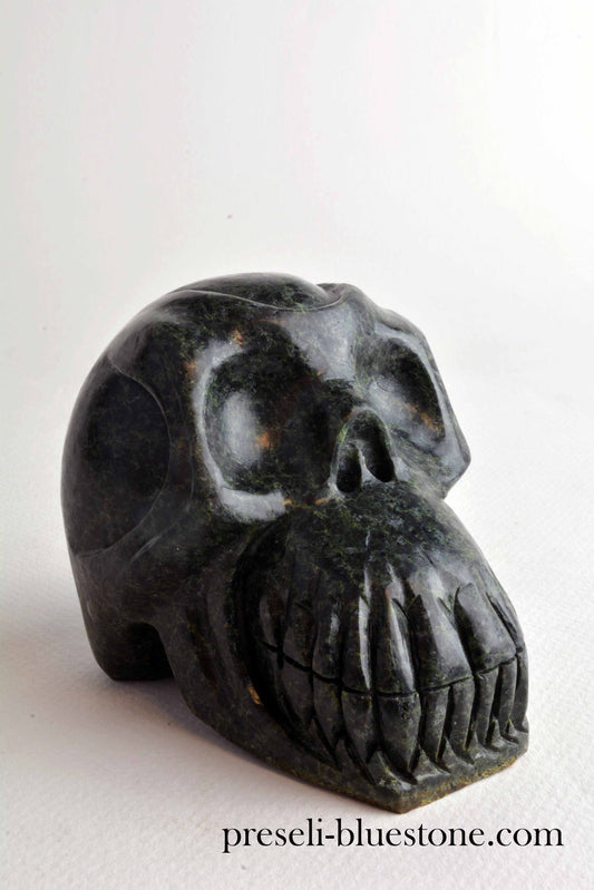 Unspotted Preseli Bluestone Skull