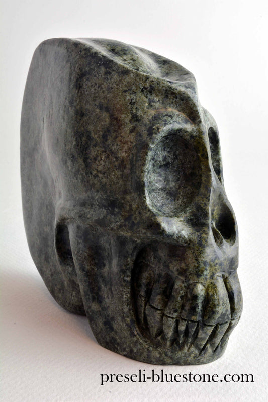 Unspotted Preseli Bluestone Skull