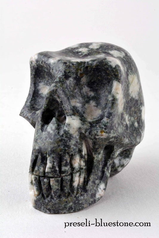 Preseli Bluestone Skull