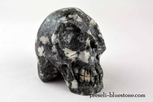 Preseli Bluestone Skull