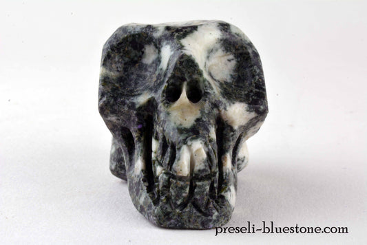 Preseli Bluestone Skull