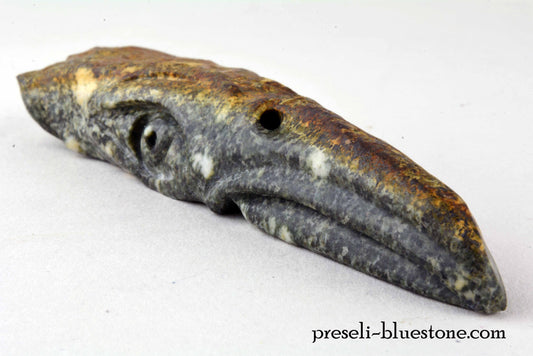 Preseli Bluestone Bird Skull