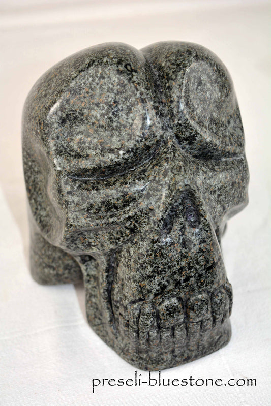 Unspotted Preseli Bluestone Skull