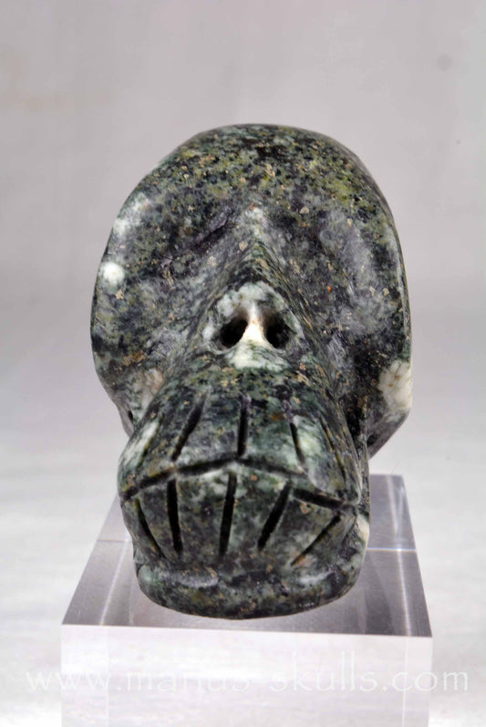 Preseli Bluestone Skull