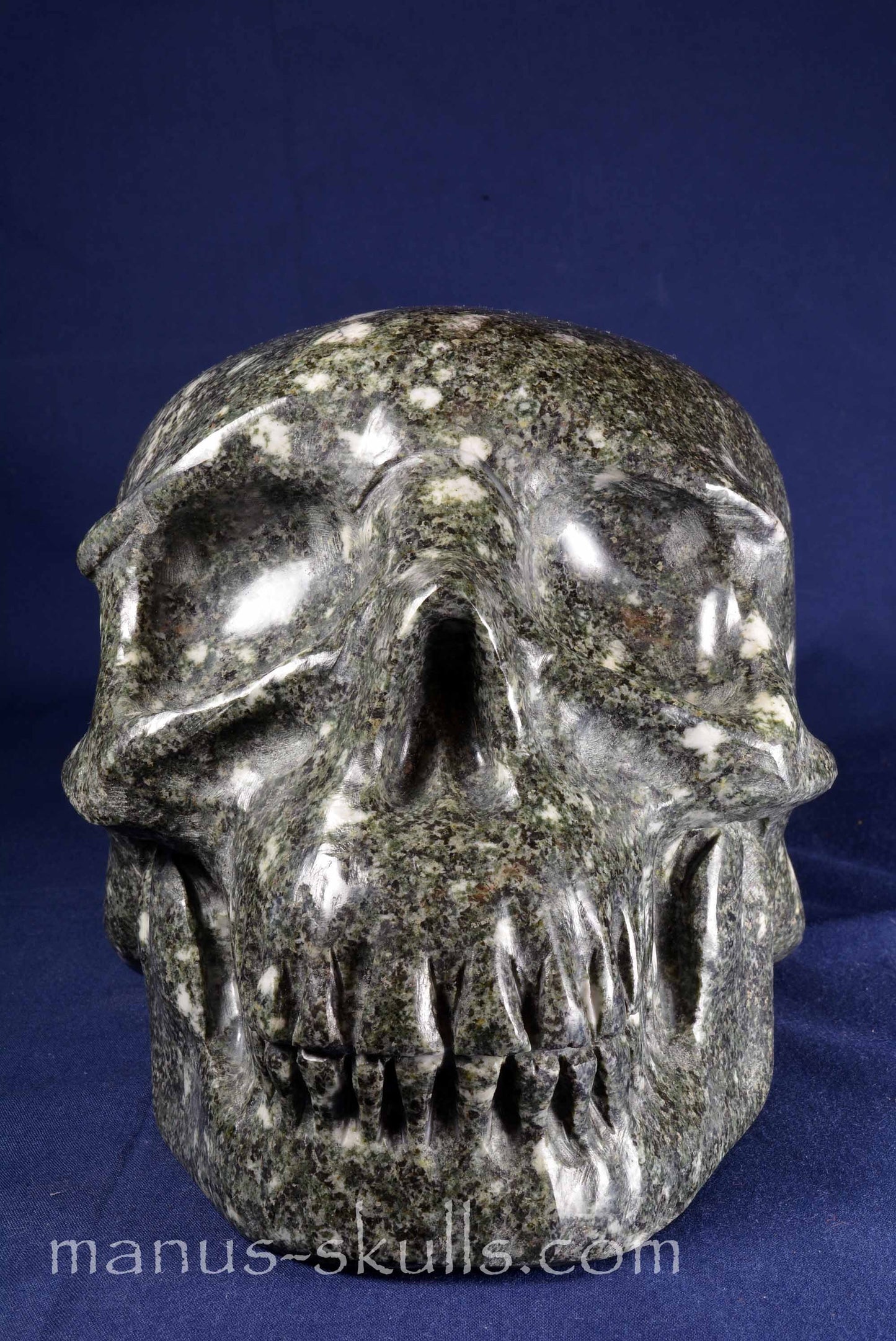 Preseli Bluestone Skull