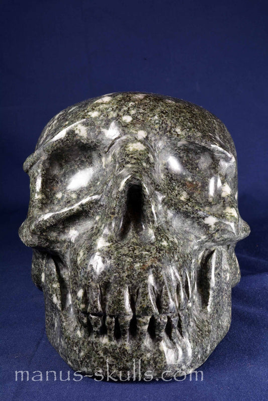 Preseli Bluestone Skull