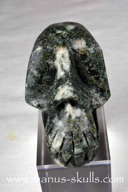 Preseli Bluestone Skull