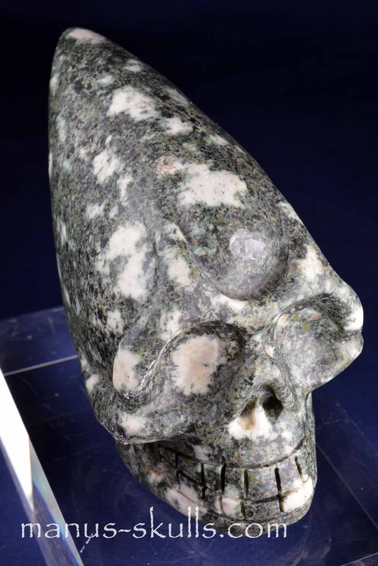 Preseli Bluestone Skull