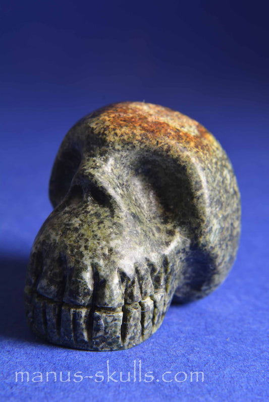 Preseli Bluestone Skull