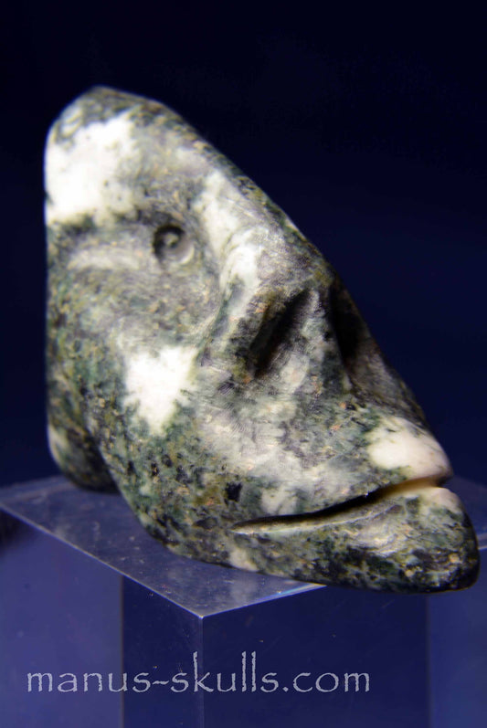 Preseli Bluestone Skull