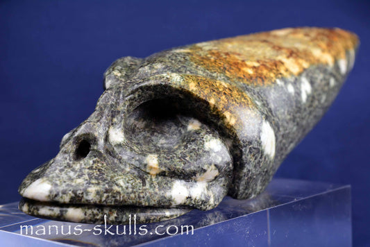 Preseli Bluestone conehead Skull