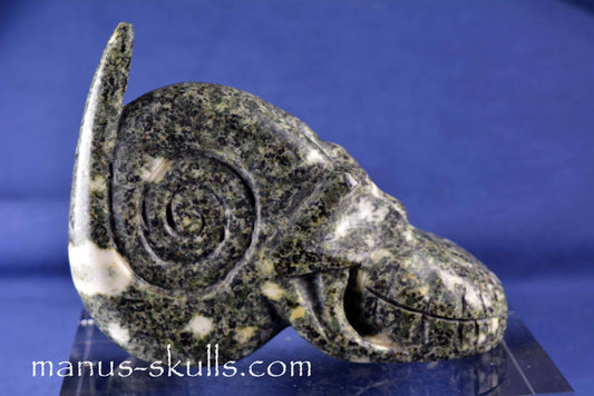 Preseli Bluestone Skull