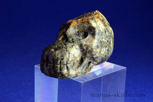 Preseli Bluestone Skull