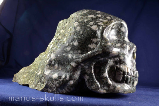 Preseli Bluestone Skull