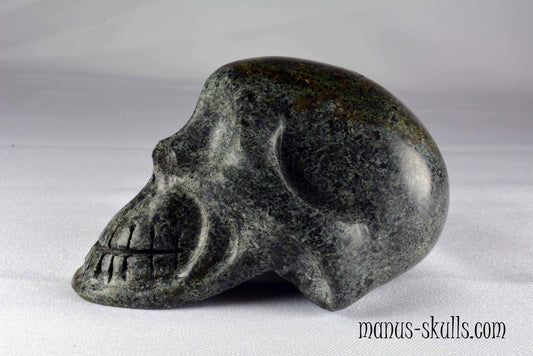 Unspotted Preseli Bluestone Skull