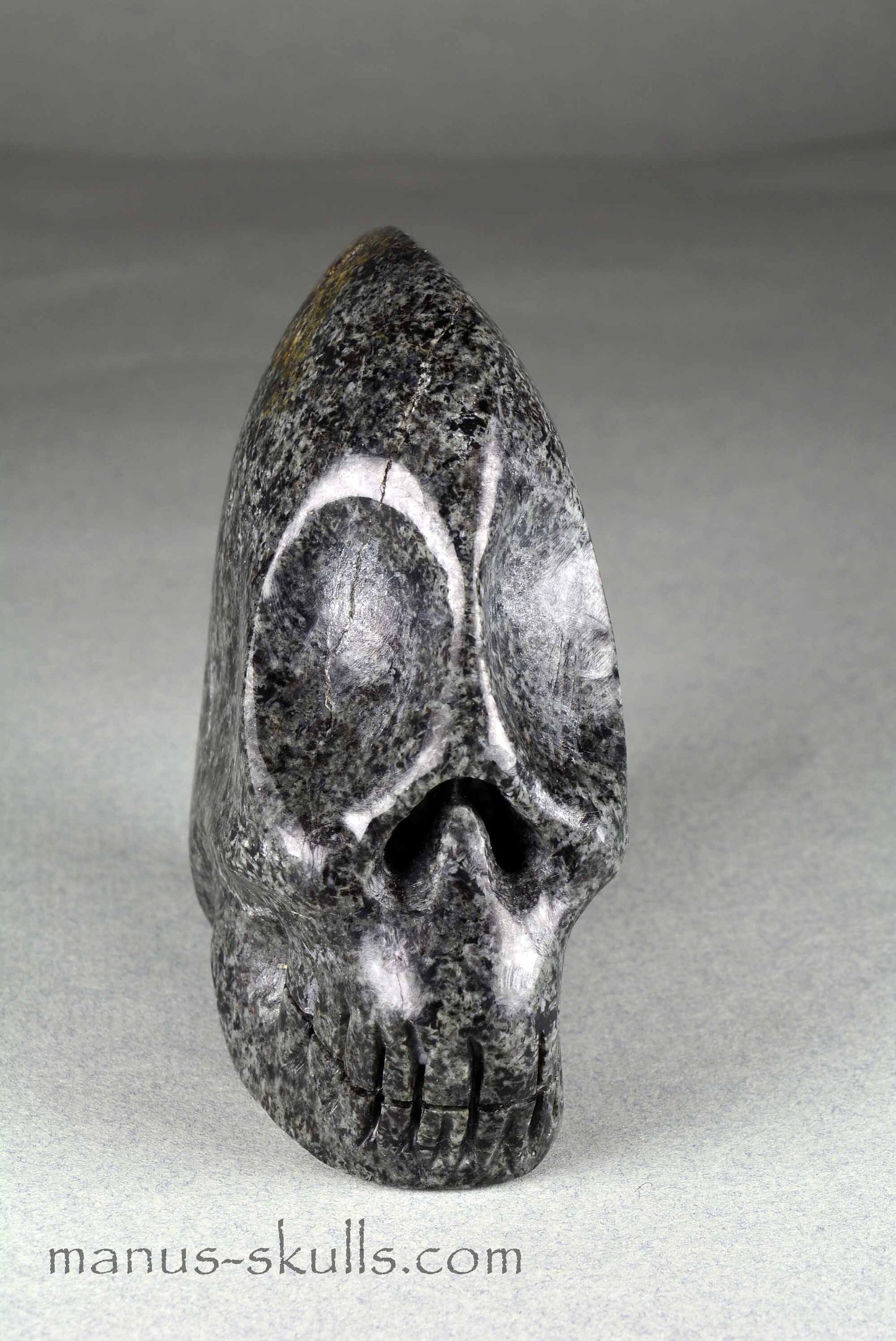 Unspotted Preseli Bluestone Skull