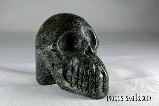 Preseli Bluestone Skull