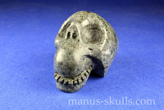 Preseli Bluestone Skull