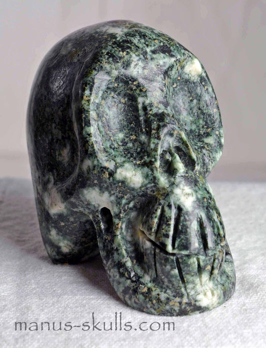 Preseli Bluestone Skull