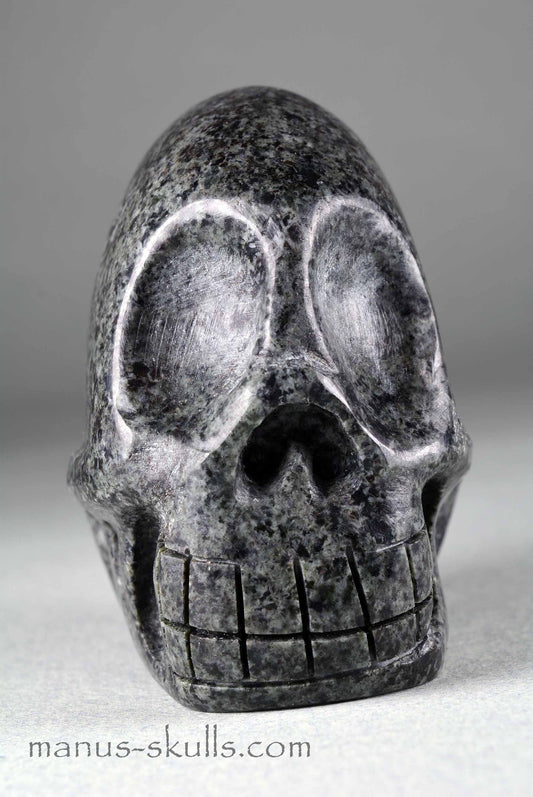 Unspotted Preseli Bluestone Skull