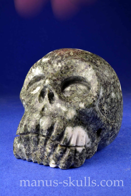 Preseli Bluestone Skull