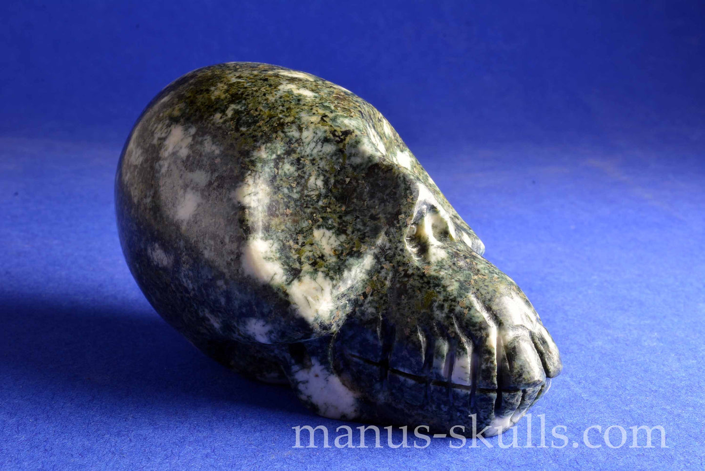 Preseli Bluestone Skull