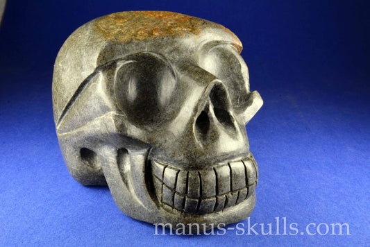 Unspotted Preseli Bluestone Skull