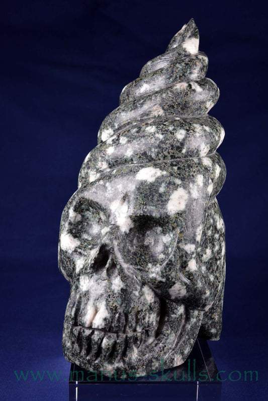 Preseli Bluestone Conehead Skull