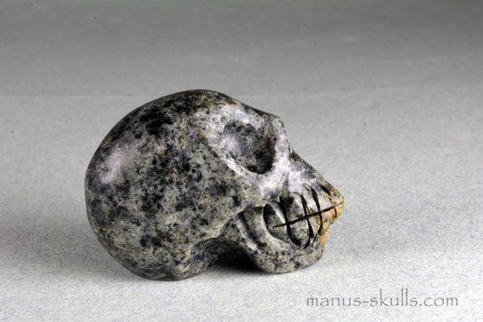 Preseli Bluestone Skull