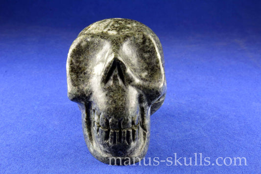 Preseli Bluestone Skull