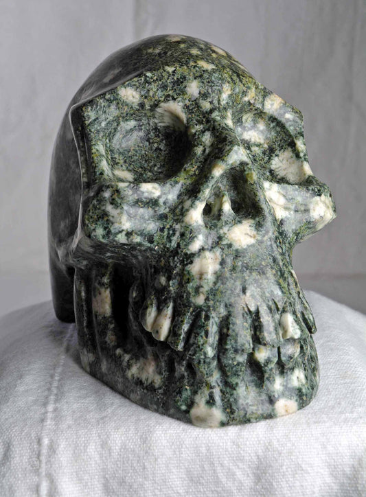 Preseli Bluestone Skull