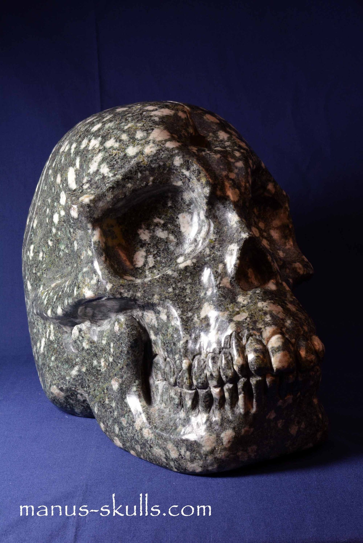 Preseli Bluestone Skull