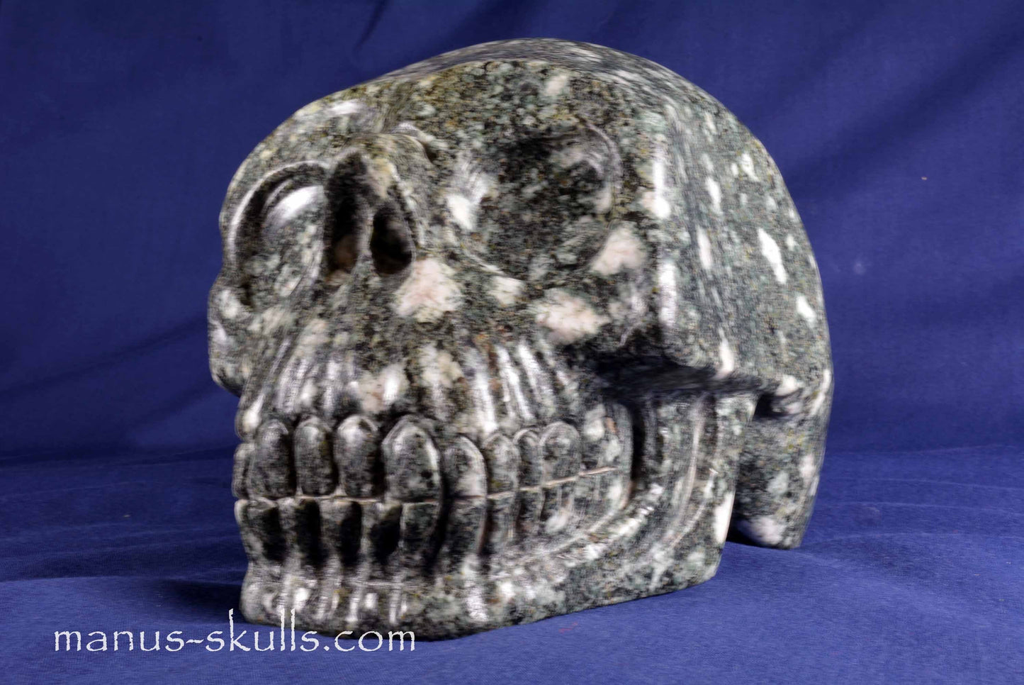 Preseli Bluestone Skull