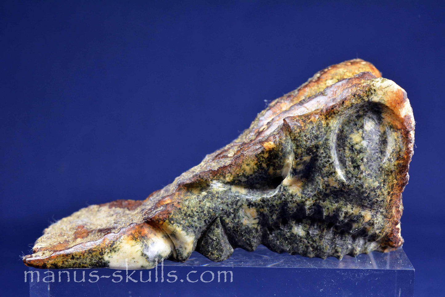 Preseli Bluestone Dragon