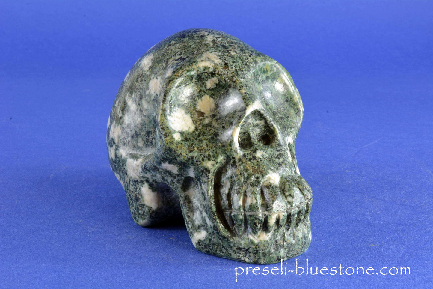 Preseli Bluestone Skull
